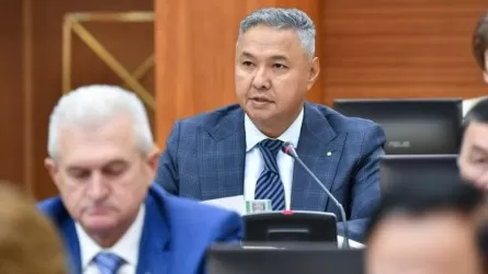 «Штрафстан» құрып жатырмыз»: Депутат елдегі айыппұл мөлшерін көбейтуді сынады