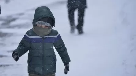 37 градус аяз: Шығыс Қазақстанда оқушылар бүгін де қашықтан оқиды