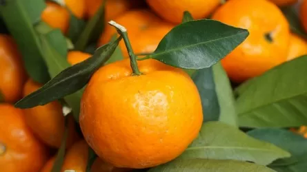 Почему мандарины могут быть опасны 
