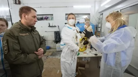 Cотни птиц погибли из-за разлива мазута в Керченском проливе в России 