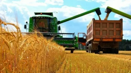 Қытай компаниялары Қазақстанның үш өңірінде астық пен жүгері өңдейтін зауыттар салады 