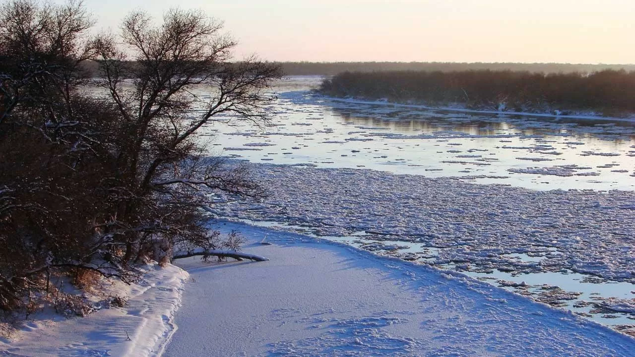 Река Сырдарья частично замерзла и угрожает жителям Приаралья