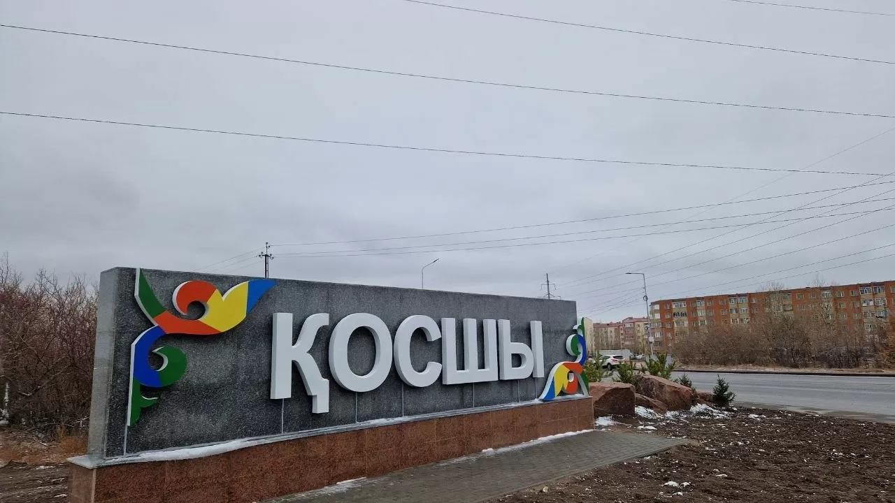 Қосшы әкімінің орынбасары жауапкершілікке тартылды 
