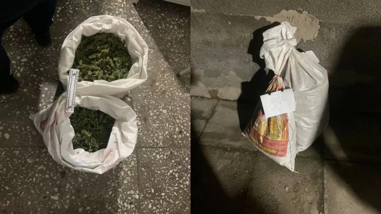 Жамбыл облысында құны 10 млн теңге болатын үнді марихуанасы тәркіленді