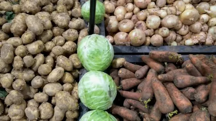 Разбронирование овощей из стабфондов для стабилизации цен: февральские объемы выше плана