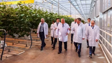 Үкімет басшысына Қазақстандағы тұңғыш тау-кен байыту кешенін салу жобасы таныстырылды
