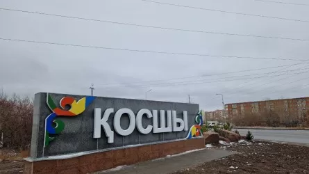 Қосшы әкімінің орынбасары жауапкершілікке тартылды 