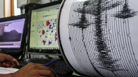 Два землетрясения зафиксировали сейсмологи Казахстана в ночь на 14 февраля