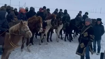 «Балаларыңа 250 мың теңгеге телефон емес, тай алып беріңдер»: Белсенді азамат ел тұрғындарына үндеу тастады 