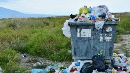 В 20 озерах Аральского района собрали больше 200 тонн пластика 