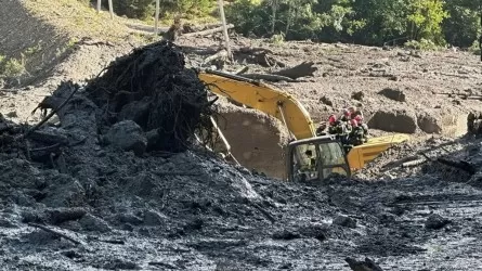 В Грузии из-за оползня погибли люди