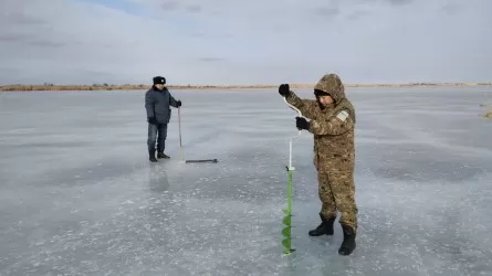 Қызылордалықтар балықтың қырылмауына түрлі тәсіл қолданып жатыр 