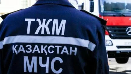 Алматыда тұрғын үйден өрт шығып, екі адам қаза тапты