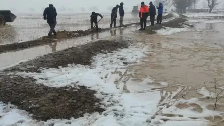 Шығыс Қазақстанда бірнеше ауылды су басты
