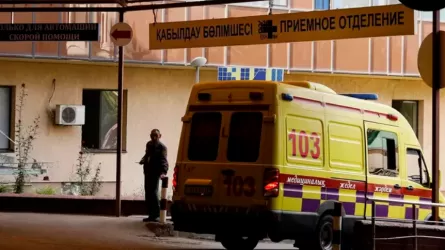Сарыағаш ауданында мектептегі әрлеу жұмысынан кейін уланған оқушылар мен мұғалімдердің саны тағы да өсті 