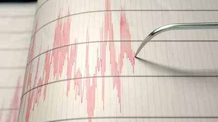 Землетрясение магнитудой 5,5 случилось в 849 км от Алматы