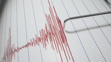 Сейсмологи зафиксировали землетрясение в 279 км от Алматы