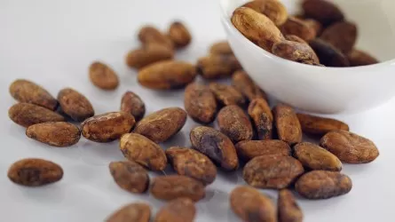 Исторический максимум: цены на какао-бобы взлетели до рекордных значений  