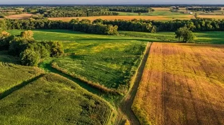 20 тыс. га земли изъято в Алматинской области у арендаторов