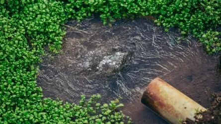 Как в Казахстане собираются бороться с потерями воды?