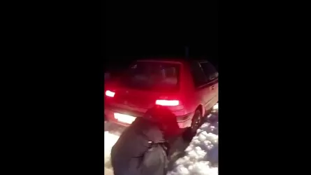 В Туркестанской области семью спасли из снежного заноса