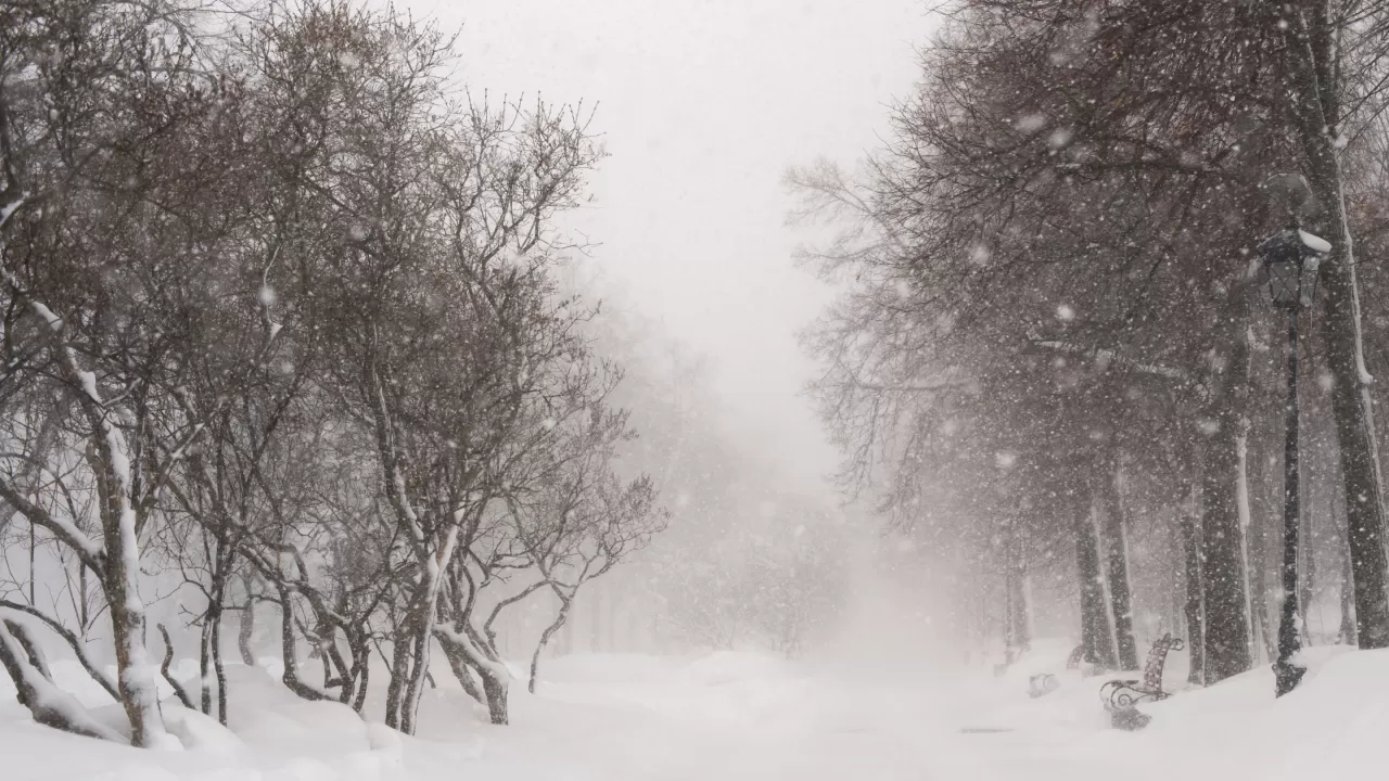 Бүгінгі ауа райы болжамы жарияланды