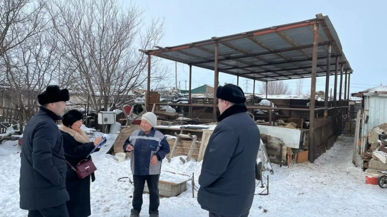 Расхождения в количестве скота на бумаге и в реальности выявили в Улытауской области 