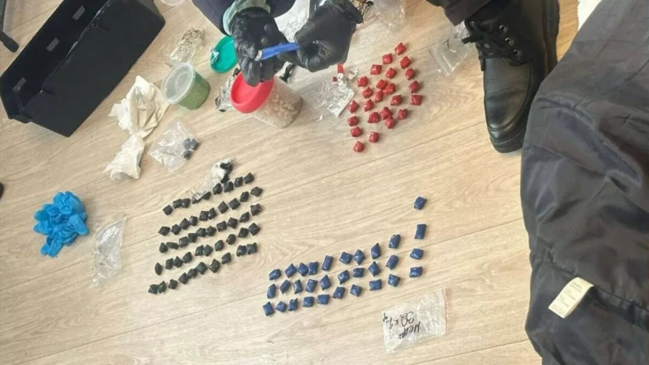 Ақмола облысында бұрын мұғалім болған әйелден ірі көлемде есірткі тәркіленді