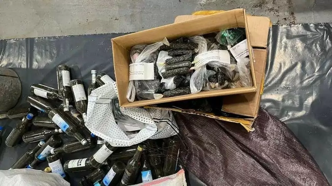 "Насыбай" операциясы ай соңына дейін жалғасады