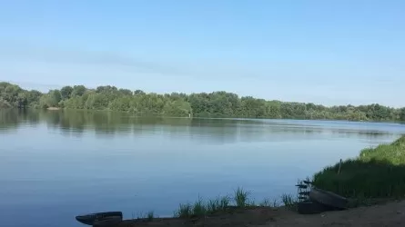 Вода в Иртыше стала немного чище