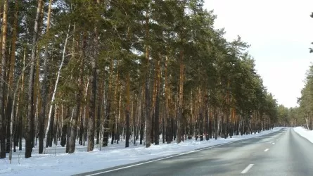 Бурабайда ресейлік азаматша белгісіз жағдайда көз жұмды