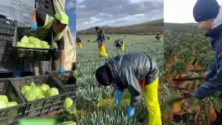 Ең дамыған елдердің азаматтары да шетел асып, табыс табуға намыстанбайды