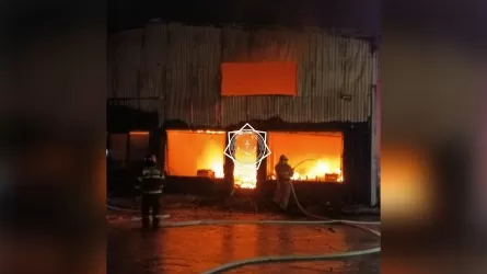 При пожаре в Акмолинской области пострадал сторож