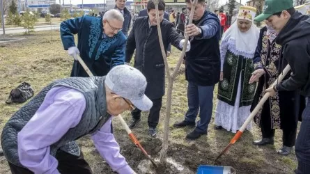 Жаңару күнінде Жетісу облысында 2500-ге жуық ағаш отырғызылды 