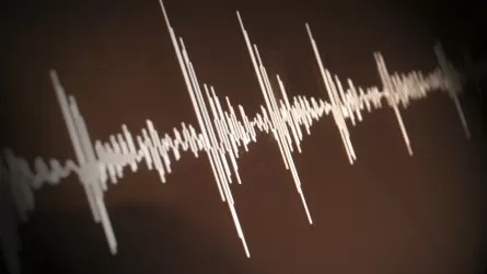 Землетрясение случилось почти в 600 км от Алматы
