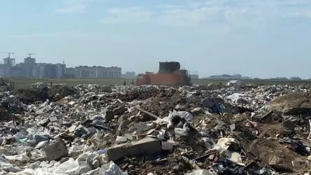 Үкімет басшысы: Қоқысты таудай қылып үйіп қою үйреншікті жағдайға айналды 