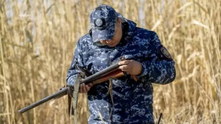 Бір айда табиғат қорғау заңнамасын бұзудың 4 мыңнан астам дерегі анықталды  