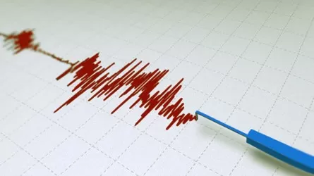 Землетрясение произошло в 861 км от Алматы