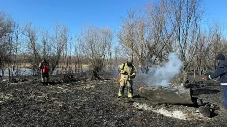 Каспий теңізінің жағалауындағы қамыс өрті 1 мың гектарға жетті