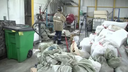 Астанада 4 тонна насыбай тәркіленді