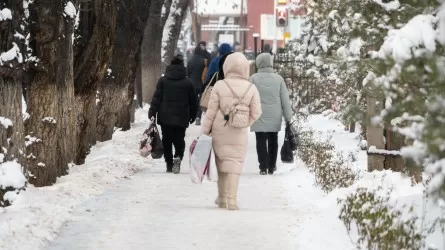 Что надо знать алматинцам, когда по городу ударил большой снег?