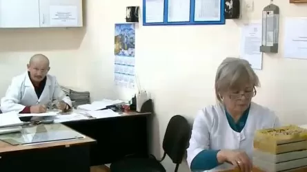 Астық тұқымын сараптамадан өткізетін маман жоқ