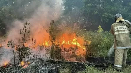 Елде жылыту маусымы басталғалы 2890 өрт тіркеліп, 148 адам қаза тапқан