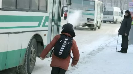 Баласын далаға ақшасыз шығаратын ата-аналарды жазалау басталуы мүмкін