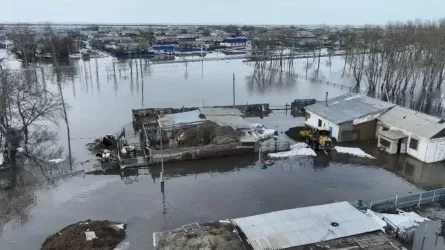 Су тасқыны қаупі бар аймақтардан 1 431 адам құтқарылды