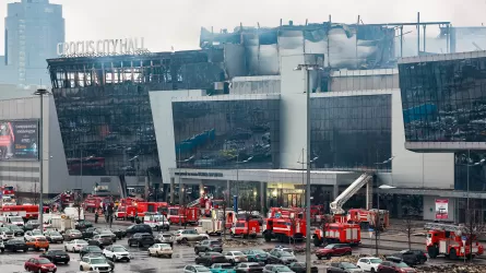 Число пострадавших при теракте в «Крокус Сити» превысило 150 человек