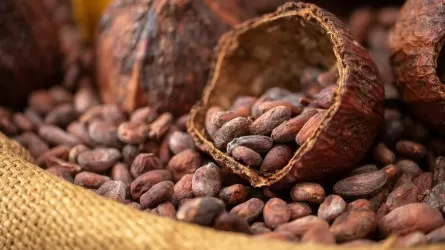 Цены на какао-бобы впервые в истории превысили 10 тыс. долларов за тонну