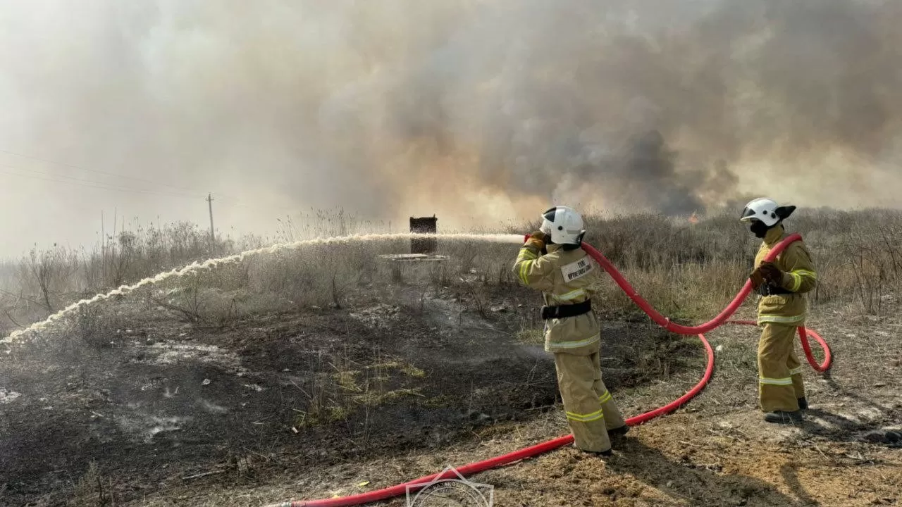 В Алматинской области выгорел 31 гектар леса – заведено уголовное дело