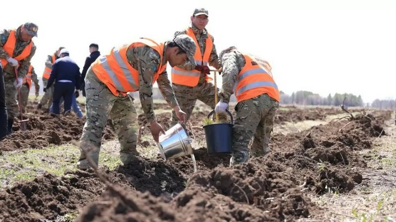 Қарағандыда отқа оранған орман қалпына келтірілді