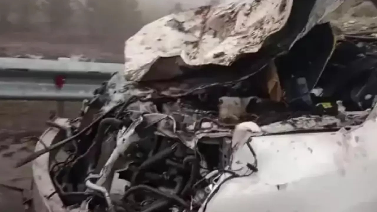 Ақмола облысында көлік абайсызда алты жылқыны қағып кетті